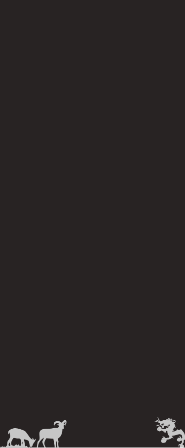 Footer Image